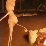I don't like this rock