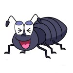 Ant