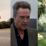 Christopher Walken meme