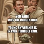Angry Anakin yelling at Yoda | YOU SAID I WAS THE CHOSEN ONE! YOUNG SKYWALKER IS IN PAIN. TERRIBLE PAIN. | image tagged in angry anakin yelling at yoda blank,star wars,star wars yoda,star wars anakin,woman yelling at cat | made w/ Imgflip meme maker