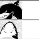 Same Shark Yes No