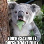 It's actually true | WAIT A MINUTE... YOU'RE SAYING IT DOESN'T TAKE FULLY 24 HOURS FOR 1 DAY?! | image tagged in memes,surprised koala,after hours,funny | made w/ Imgflip meme maker