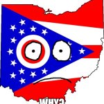 ohio | WHY? | image tagged in ohio | made w/ Imgflip meme maker