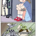 Shrek obliterating terminator hunting anime girl | My mom; Me; My grandma | image tagged in shrek obliterating terminator hunting anime girl | made w/ Imgflip meme maker
