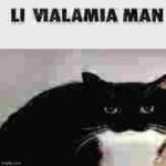 li vialamia man