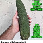 Funny | DIDDLER'S FRUIT PRICE HAS TAKEN A DEEP PLUNGE; NOW THAT THE DIDDLER'S GOING TO MINIMUM SECURITY FEDERAL PRISON | image tagged in funny,p diddy,diddy,fruit,price | made w/ Imgflip meme maker