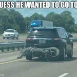 Don't Worry He'll Never Notice | GUESS HE WANTED TO GO TOO | image tagged in gator,road,car | made w/ Imgflip meme maker