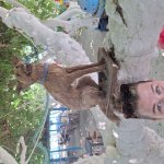 Hapoi Birthdio Bek-ka-kak-a