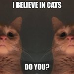 Cult of Cats | I BELIEVE IN CATS; DO YOU? | image tagged in the cat cult | made w/ Imgflip meme maker