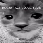 I guess I won't touch you meme