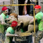 MAGA when GrindR is down