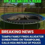 Funny | IF YOU TIE A BUNDLE OF MONEY ON THE GATOR'S HEAD; YOU MIGHT CATCH THE HOA KAREN | image tagged in funny,karen,alligator,gator,shut up and take my money fry,mega karen | made w/ Imgflip meme maker