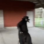 it will still be cliche but no biggie brah | ME ON MY WAY TO THE THEATERS TO SEE WHAT HORROR MOVIES THEY GOT: | image tagged in gifs,memes,halloween,funny | made w/ Imgflip video-to-gif maker