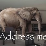 Address me elephant