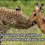 Tiger and Deer template