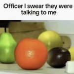 Officer I swear they were talking to me