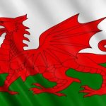 flag of wales. template