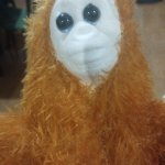 nak aku mama aslimu
