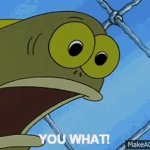 YOU WHAT meme