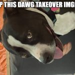 HELP THIS DAWG TAKEOVER IMGFLIP | HELP THIS DAWG TAKEOVER IMGFLIP | image tagged in dogi | made w/ Imgflip meme maker