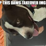 HELP THIS DAWG TAKEOVER IMGFLIP | HELP THIS DAWG TAKEOVER IMGFLIP | image tagged in dogi | made w/ Imgflip meme maker