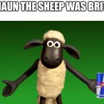Here’s British Shaun The Sheep | IF SHAUN THE SHEEP WAS BRITISH | image tagged in shaun the sheep | made w/ Imgflip meme maker