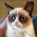 Just happened to me 6 or 7 days ago | WHEN YOUR CHARGER DOES THAT THING WHERE IT ONLY WORKS AT A CERTAIN ANGLE | image tagged in memes,grumpy cat | made w/ Imgflip meme maker