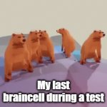 my last braincell be vibin' | My last braincell during a test | image tagged in gifs,bears vibin',test,brain | made w/ Imgflip video-to-gif maker