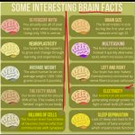BRAIN FACTS meme