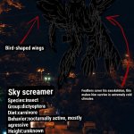 Sky screamer profile