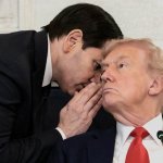 Rubio and trump