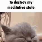 Cat rage bair GIF Template