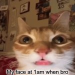 cet | My face at 1am when bro tells me to hop on the game: | image tagged in gifs,cat,luigi death stare,cream,ahh,today was a good day | made w/ Imgflip video-to-gif maker