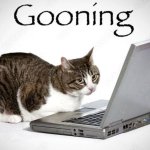 Gooning