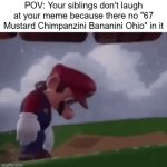 The humor of future genteations is cooked | POV: Your siblings don't laugh at your meme because there no "67 Mustard Chimpanzini Bananini Ohio" in it | image tagged in gifs,memes,sad,gen alpha | made w/ Imgflip video-to-gif maker