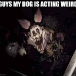 guys I think my dogs sick | GUYS MY DOG IS ACTING WEIRD | image tagged in what the dog doing | made w/ Imgflip meme maker