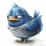 Realistic twitter bird