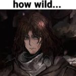 how wild... meme