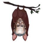 Hanging Around Too Long