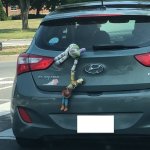 Buzz & Woody Real Life