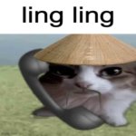 Ling Ling Slide