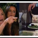 woman pointing at cat & yelling meme