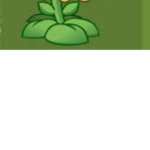 Ruin This Fill In Meme!!!!!!!!!!!!!!!!!!!!!!!!!!!!!!!!!!!!! #320 meme