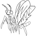 Meme mantis