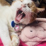 Speak out!