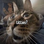 Titties?