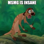 Timon exasperated | MSMG IS INSANE | image tagged in timon exasperated | made w/ Imgflip meme maker