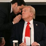 Rubio Whispering to Trump