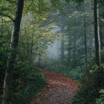 Photo by Marco Meyer on Unsplash