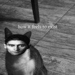 ts so kafkaesque meme